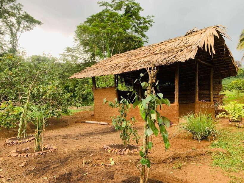 Sri Lanka: Ceylon Cinnamon Experience & Spice Garden Tour - The Itinerary and Highlights in Detail