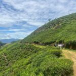 Sri Lanka: Ceylon Royal Tea Trails Trekking Tour - An In-Depth Look at the Tour Experience