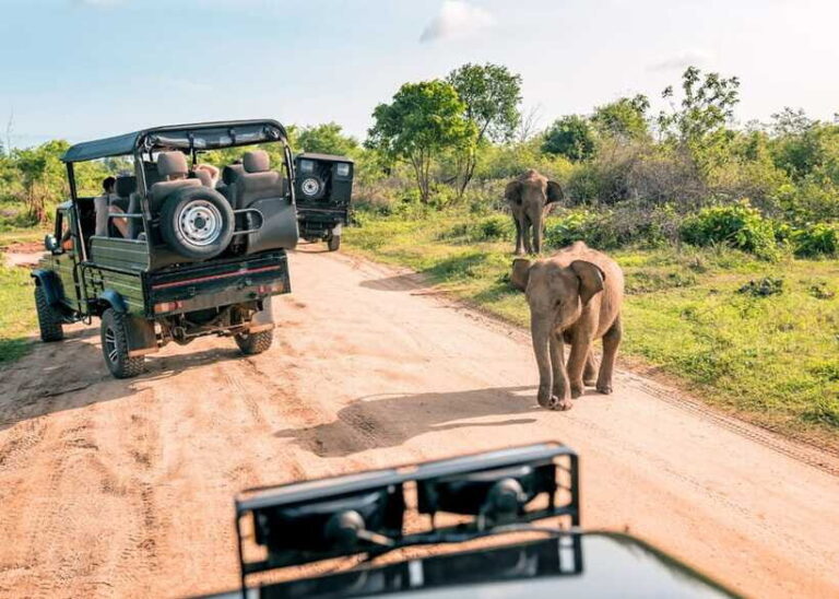 Sri Lanka Cultural Triangle Private 2-Day Tour+Wildlife Tour - Exploring the Itinerary: What Makes Each Stop Special