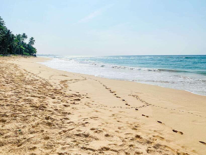 Sri Lanka: History ,Wildlife, Beaches, 7 Days Private Tour - Scenic Trains and Hill Country Flavors  