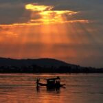 Srinagar: Tulip Garden With Shikra Ride on Dal Lake Tour - Why This Tour Offers Great Value