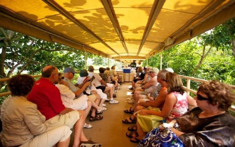 St.Kitts Sugar Train Tour with Pick Up & Drop-Off From Port. - What is the St. Kitts Sugar Train Tour?