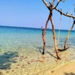 Starfish Beach and Floating Village Combo Boat Trip Seafood Lunch - Why We Love This Tour