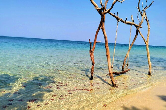 Starfish Beach and Floating Village Combo Boat Trip Seafood Lunch - Why We Love This Tour