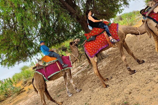 Stay Under The Billions Stars Overnight Camel Safari Tour - What’s Included and What’s Not