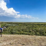 Steppe, Saddles and Sauna: Scenic Horse Rides Along River Nura - Insights from Reviews