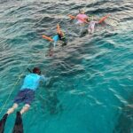 Stingray City Private Boat Charter with Jet Ski - Practical Tips for Your Trip