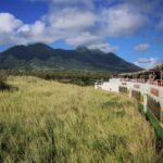 Sugar Train Tour & Drinks|Pick-Up &Drop Off From Cruise Port - The Itinerary: What to Expect on Your Ride