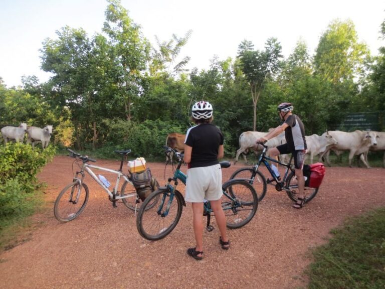 Sukhothai: Historical Park & Countryside Cycling Tour - Why This Tour is Worth It