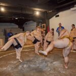SUMO FESTIVALTokyo Ginza: Sumo Show & Photo Experience - Who Will Enjoy This Tour?