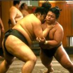 Sumo Practice Watch with a Specialist Reporter - What’s Included and What’s Not