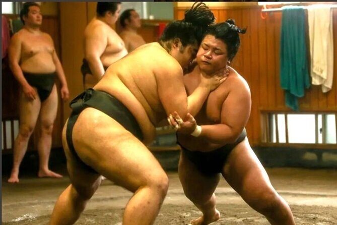 Sumo Practice Watch with a Specialist Reporter - What’s Included and What’s Not