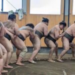 Sumo show and Chanko lunch - The Sum Up