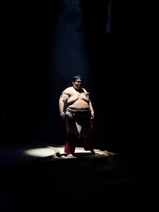 Sumo wrestler in traditional spotlight portrait