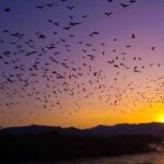 Sunset Trip: Kelor  Manjarite  Kalong Sunset - Exploring Kelor Island: Light Trek and Panoramic Views