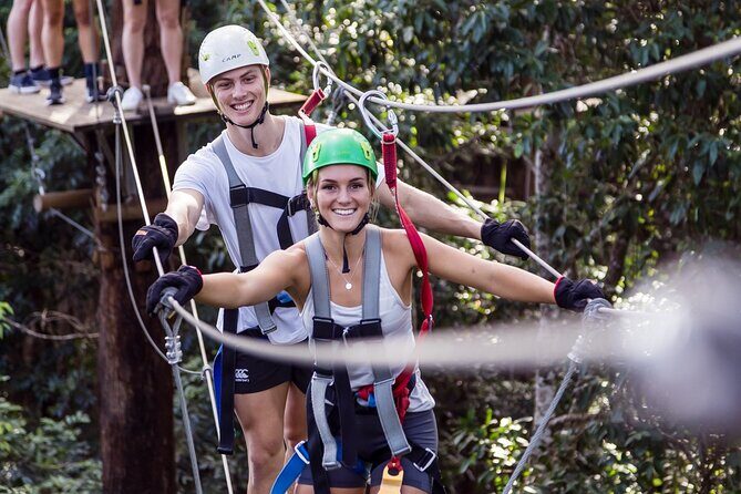 Sunshine Coast Adventure Park TreeTop Challenge - Practical Details & Tips
