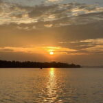 SUP in Kochi: Sunrise Stand-Up Paddleboarding Tour - Why the Location Matters