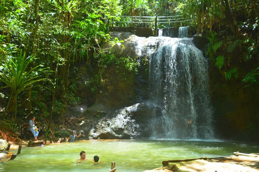 Suva: Fijian Nature and Waterfall Tour - An authentic look at the waterfalls and rainforests