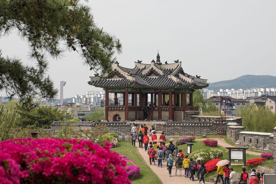 Hwaseong Fortress wall with spring flowers in bloom
