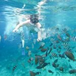 Swim With Manta Rays Snorkeling Nusa Penida - Why This Tour Stands Out