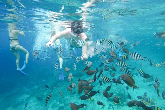 Swim With Manta Rays Snorkeling Nusa Penida - What Makes This Tour Stand Out?