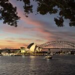 Sydney: Big Bus Panoramic Night Tour by Open-Top Bus - Is the Price Worth It?