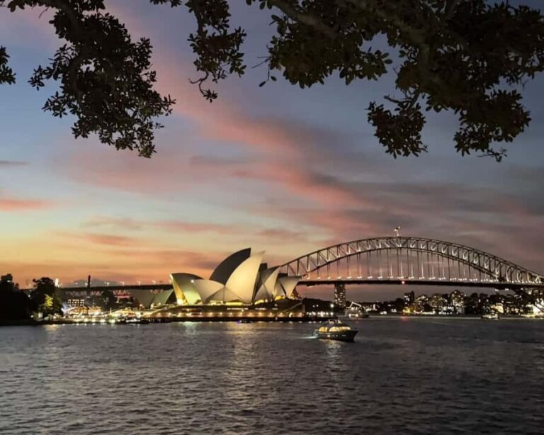 Sydney: Big Bus Panoramic Night Tour by Open-Top Bus - Is the Price Worth It?