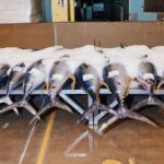 Sydney Fish Market Behind the Scenes Tour - The Sum Up: Is This Tour for You?