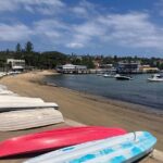Sydney Half Day Luxury Private Tour - Authentic Insights from Reviewers