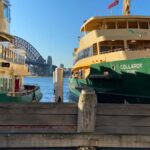 Sydney Half Day private tour: see Opera House, Bondi Beach - What Does the Tour Really Offer?