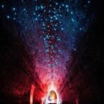 Sydney: Helensburgh Glow Worm Tunnel Tour with Transfer - The Itinerary in Detail