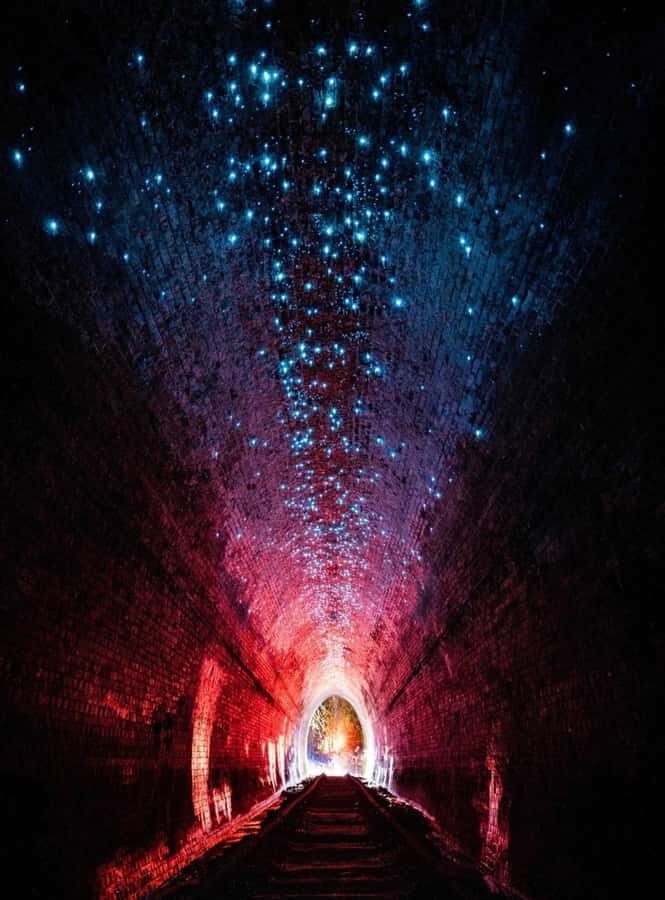 Sydney: Helensburgh Glow Worm Tunnel Tour with Transfer - The Itinerary in Detail