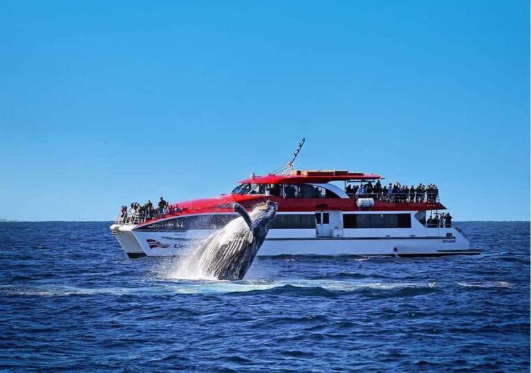 Sydney: Whale Watching Cruise and Taronga Zoo Package - What We Love About This Experience