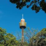 Sydneys Secrets Family Walking Adventure - Insights from Reviews: What Travelers Love