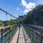 Taipei: Jiufen Night View and Shifen Day Tour - The Practicalities