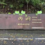 Taipei Neidong Forest Luxury Hot Spring and Bitan Boat Ride - Scenic Bitan Boat Ride