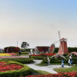 Taipei-Taichung-Taipei Private day trip - What Makes This Tour Stand Out?