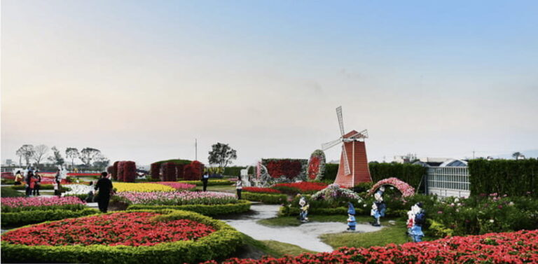 Taipei-Taichung-Taipei Private day trip - What Makes This Tour Stand Out?