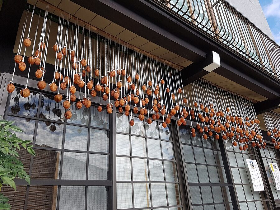 Drying persimmons hanging in Takayama old town