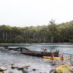 Tasman Peninsula full day kayaking tour - What Reviewers Say: Authentic Insights