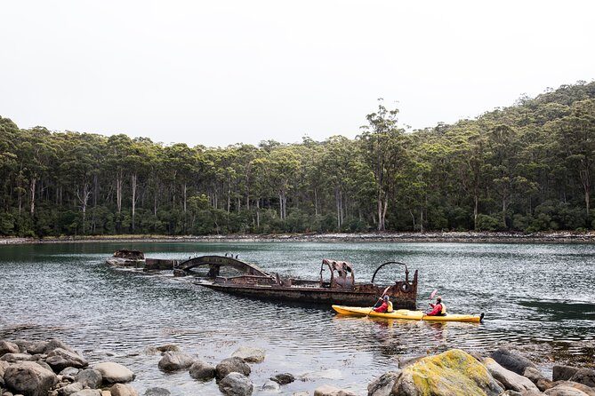 Tasman Peninsula full day kayaking tour - What Reviewers Say: Authentic Insights