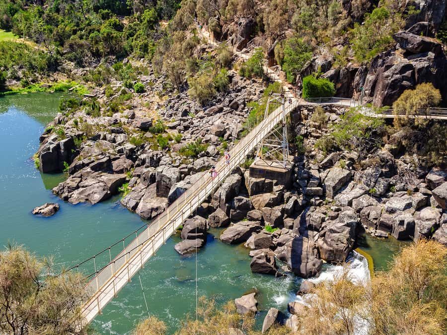 Tasmanias Cataract Gorge & Lavender Day - Who Is This Tour Best For?