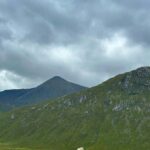 Taupo/Turangi: The Torohe Half-Day Horse Trek - Practical Tips and Considerations