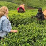 Tea Fields & Factory Tour - FAQs