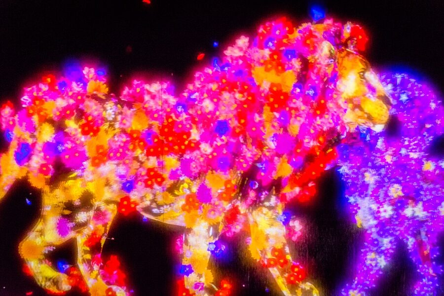 teamLab Borderless Odaiba light installation