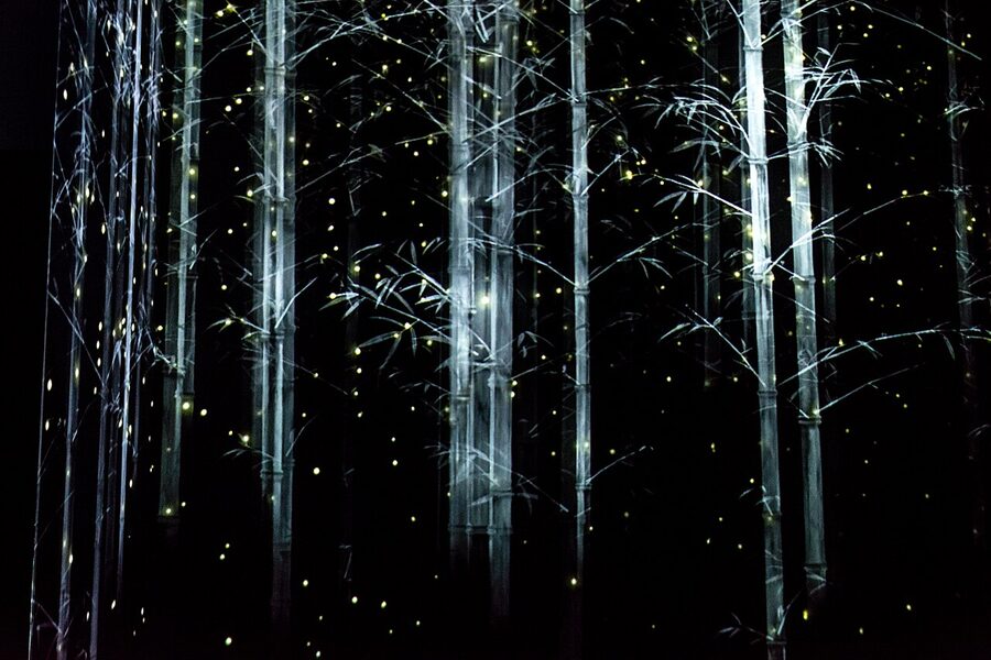 teamLab Borderless Tokyo Odaiba projection
