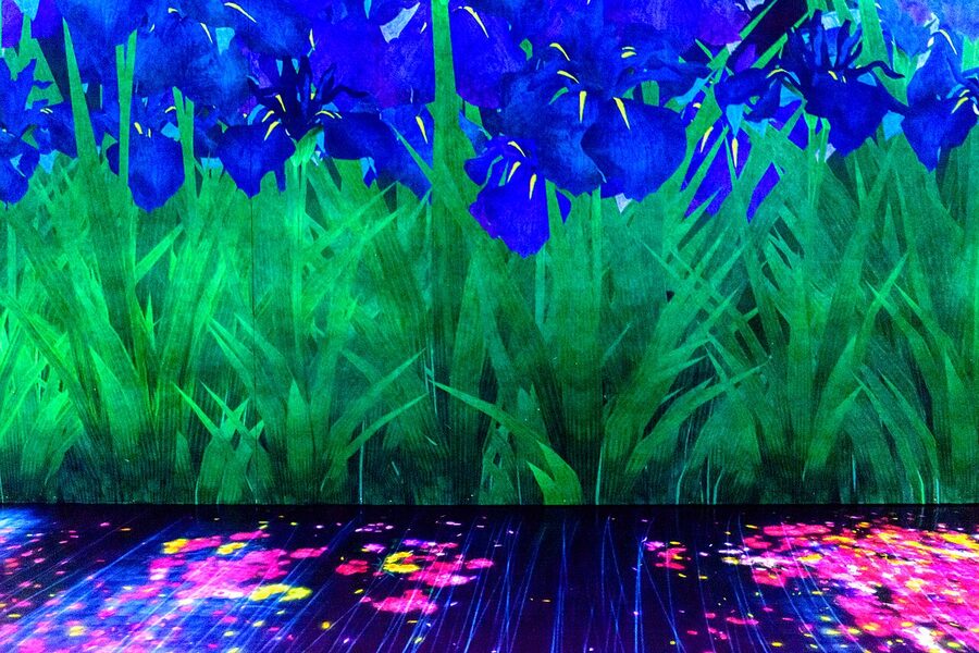 teamLab Borderless Tokyo flower installation
