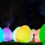 TeamLab Botanical Garden Osaka Ticket - What the Reviews Tell Us