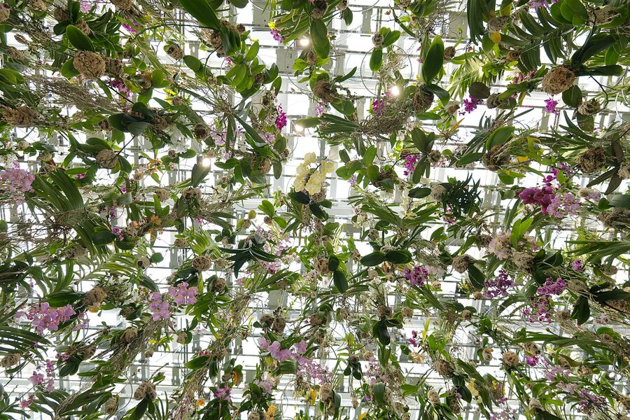 teamLab Planets Tokyo 2024 floral installation