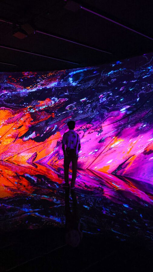 Silhouette of a person in colorful digital art installation